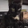leeannroycescott - @leeann.royce.scot - TikTok