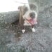 Royce Strickland - Facebook