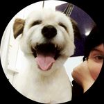 Roz Smith - @rosies_ruff_cuts - Instagram