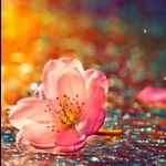 Roz Smith - @rozpassionfordesign - Instagram