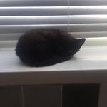 Roz Smith - @rozsmith48 - Instagram