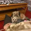 Roz Smith - @roz.smith0 - TikTok