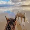 Rûbä IšŚå - @rubaissa00 - TikTok
