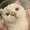 ✨🌷 - @ruba.khalil1 - TikTok
