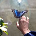 Ruba Khalil - Facebook