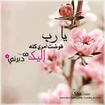 Ruba Salameh - @rubasalama2022 - Instagram