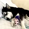 Ruben Abarca - @ruben.abarca79 - TikTok