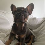 Ruben Barry Robinson - @ruben_robbo - Instagram
