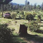 Rubén Berber - @berberruben11 - Instagram