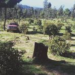 Rubén Berber - Facebook