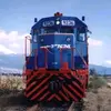 Ruben - @rubenberber81 - TikTok