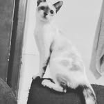 ruben bernard david mangilinan - @rb.mangilinan - Instagram