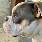 Ruben Bueno - @ruben.good - Instagram