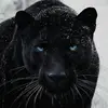 Ruben Cabral - @ruben.cabral53 - TikTok