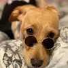 Ruben cachorrito - @ruben.cachorrito - TikTok