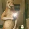 Rubén Carias - @rubn.carias - TikTok