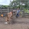 Ruben carias sanchez 77 - @ruben.carias8 - TikTok