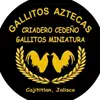 Ruben Cedeño - @rcedenooo4 - TikTok