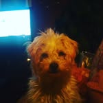 Ruben Corona - @corona5330 - Instagram