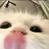 HUH - @rubencoronado69 - TikTok