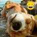 Ruben Coronado - Facebook