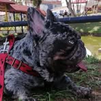Ruben Cossio - Facebook