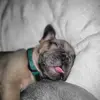 ruben cunnigham - @ruben.cunningham222 - TikTok