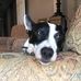 Ruben Downs - Facebook