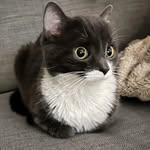 Ruben Escalera - @dopperjev - Instagram