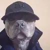 Ruben Galvan - @ruben.galvan03 - TikTok