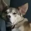 rubengalvan5555 - @rubengalvan5555 - TikTok