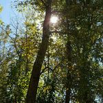Ruben hall - @hall.ruben - Instagram