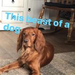 Ruben Hall - @hall_22733 - Instagram