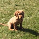 Ruben Hall - @rubenhall99 - Instagram