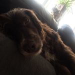 Ruben Hall - @ruben_hall367 - Instagram