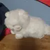 ruben jackson - @ruben.jackson50 - TikTok
