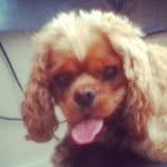 ruben kenny - @rubenkenny_ - Instagram