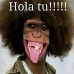 Ruben Manzo - @manzo_ruben - Instagram
