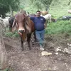 Ruben Milian - @ruben.milian - TikTok