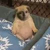 Ruben Millan - @ruben.millan3 - TikTok