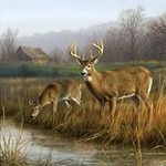 Ruben Monge - @ruben.monge.543 - Instagram