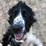Ruben Morris Nordqvist - @rubenisthlm - Instagram