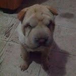 Ruben Neri Padilla - @ruben.neripadilla - Instagram