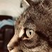 Rueben O'Neill - Facebook