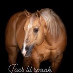 Ruben Pacheco - @ruben_reining - Instagram