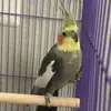 Ruben Pompa - @diana_135792 - TikTok