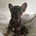 Ruben Barry Robinson - @ruben_robbo - Instagram