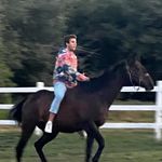 Ryan Rubendall - @ryanrubendall - Instagram