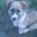 Ruben Schmidt - Facebook