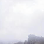 Ruben Schmitt - @rubenschmitt42 - Instagram
